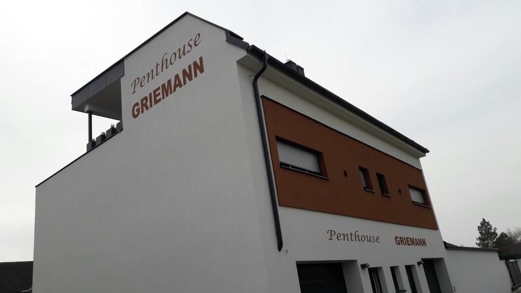 Penthouse Griemann 2 Fuer Max 4 Personen Mit Eigener Grosser Dachterrasse Zum Relaxen! Illmitz Exterior foto